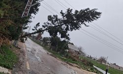 Toroslar EDAŞ’tan Fırtına Mesaisi: Hasarlı Hatlar Onarılıyor0