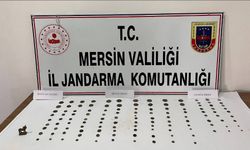 Jandarmadan Kaçak Kazı Operasyonu: 1 Gözaltı