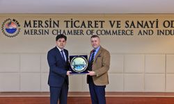 Mesleki Eğitimde Mersin Modeli ve DAHİ Mersin Projesi