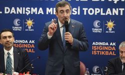 Cumhurbaşkanı Yardımcısı Yılmaz: “Emperyalist Bir Takım Güçler Avuçlarını Yalayacaklar”