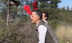 Osmaniye'de şahinler doğal alanına kavuştu