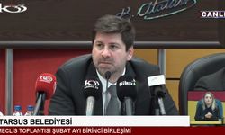 Tarsus'ta Gelişi Güzel Hafriyat Dökümüne Yüksek Cezalar Geliyor