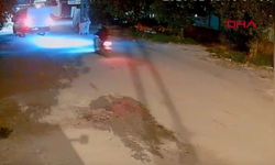 Adana'da Havlayan Köpeği Ezdi