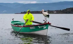 Yaren Leylek bu yıl erken geldi