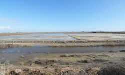 Tarsus belediyesi afetin yaralarını sarmak için sahada