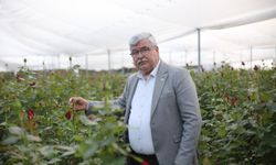 Başkan Yılmaz: "Yevmiyeleri Devletimiz Belirlesin"