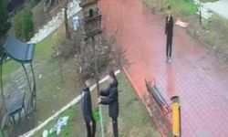 Parkta Üzücü Görüntüler: Kuş Yuvasına Zarar Veren Çocuklar Kamerada