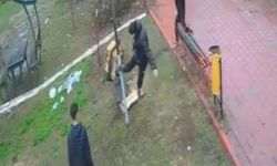 Kuş Yuvasını Yıkan Çocuklara Ev Hapsi Cezası