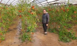 Sağanak Yağış ve Hortum Seralarda Büyük Zarara Yol Açtı