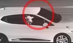 Küçükbaş Hırsızlarına Operasyon: 3 Tutuklama