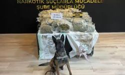 Osmaniye'de Otomobilin Bagajında 36 Kilo 650 Gram Skunk Ele Geçirildi