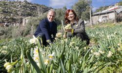 Mersin'de 4. Nergis Şenliği Renkli Etkinlikler Eşliğinde Binlerce Vatandaşı Bir Araya Getirdi