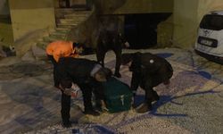 Kavga İhbarına Giden Polis, Cansız Beden  Buldu