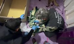 Hatay’da Bazanın Altına Gizlenen Uyuşturucuyu Narkotik Köpeği Buldu