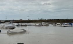 8 Bin Dönüm Ekili Alan Sular Altında Kaldı