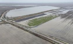 Osmaniye'de Sağanak Yağmurun Ardından Tarım Arazileri Sular Altında Kaldı
