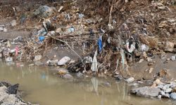 Adana'da Yağış Sonrası Yol Kenarında Çöpler Birikti