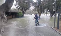 Manavgat Irmağı Taştı, İşletmeleri Su Bastı