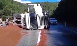 Antalya'da peyzaj malzemesi yüklü tır devrildi