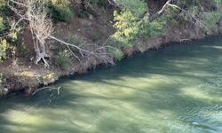 Osmaniye'de sağanak yağış sonrası barajların su seviyesi arttı