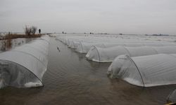 Başkan Seçer 'den Aşırı Yağış Açıklaması: "Ekiplerimiz Sahada, Çalışmalar Sürüyor"