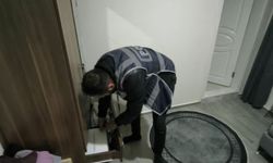 6 İlde Eş Zamanlı Operasyon: Vize Dolandırıcıları Yakalandı