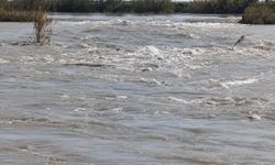 Seyhan Nehri taştı, tarlalar sular altında kaldı