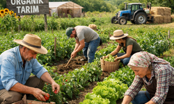 Organik Tarım ve İyi Tarım Destek Başvuruları Başladı