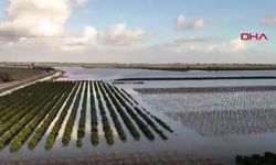Mersin'de selin bilançosu ağır: tarım arazileri sular altında