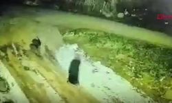 13 Gündür Kaybolan Kadının Cansız Bedeni Dere Yatağında Bulundu