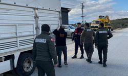 Ormanlarda Kanun Dışı Müdahalelere Karşı Mut’ta Önleme Araması