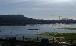 Antalya'da Yağışların Ardından Narenciye Bahçeleri Su Altında Kaldı