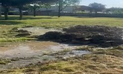 5 Yaşındaki Eda’nın Ölümüyle İlgili Davada Karar Çıktı