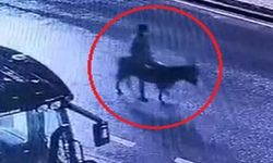 Kuyumcu Dükkanını Soydu, Olay Yerinden Eşeğe Binip Uzaklaştı