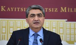 Deva Partisi Başkanı Ekmen: "Zarar Gören Partiler Değil, TBMM ve Türk Siyasetidir”