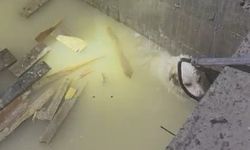 Isparta’da Asansör Boşluğuna Düşen Köpek İtfaiye Tarafından Kurtarıldı