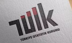 TÜİK, Aralık 2025 tarımsal girdi fiyat endeksi verilerini açıkladı