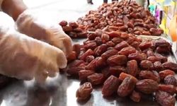 Adana'da hurma üreticilerine kapsamlı eğitim verildi