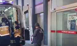 Hayvan otlatmaya çıktı, kayalıkta mahsur kaldı: Ayşe Şahin 24 saat sonra kurtarıldı