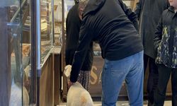 Fırında pide sırasına giren kuzu: İznik’te gülümseten görüntü