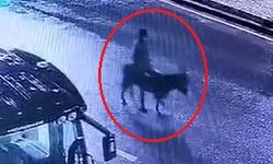 Forkliftli Soygun Sonu Karakolda