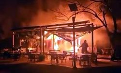 Parkta Korkutan Yangın: Kafe Küle Döndü