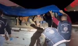 Göçmen kaçakçılığı operasyonu: 12 kişi yakalandı, 4 tutuklama