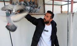 Güvercini Bulup, Getirene 75 Bin Lira