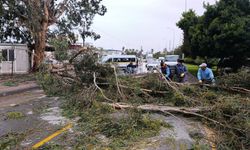 Mersin'de Sağanak Yağış ve Fırtına Hayatı Olumsuz Etkiledi