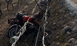 Manisa'da sepetli motosiklet üzüm bağına devrildi: 1 ölü