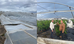 Silifke’de hortum ve fırtına tarım alanlarını vurdu