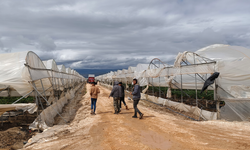 Silifke’de hortum seraları yerle bir etti
