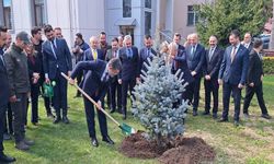 ‘Türkiye Yüzyılına Nefes’ etkinliği kapsamında fidan dikildi