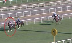 Mersin aşevinde kavurma tartışması: Atın sahibi 132 bin TL ceza aldı